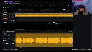 making dogshit music