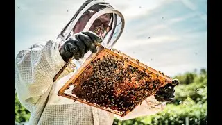 Beekeepers at Work - Keepr's British Honey