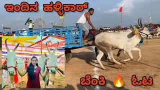 ಮಿಂಚಿನ ವೇಗದಲ್ಲಿ ಓಡಿದ ಹಳ್ಳಿಕಾರ್ ಎತ್ತುಗಳು || Bangalore Race Day-3 || Hallikarodeya || Varthur Santhosh