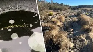 Panning for gold in the Shoalhaven river