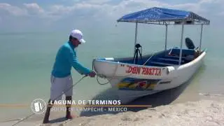 Isla Aguada, Campeche México, Viajes y Vidas