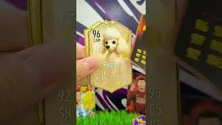 animal fantasy pack opening