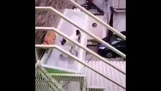 AAAAHHHHHH!!!!