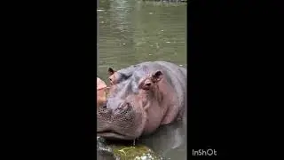 Visited Safari Park Bogor, Indonesia!