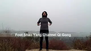 Foot Shao Yang Channel Qi Gong