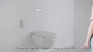 Elevate Your Space with Wall-Mounted Toilets &ndash; The Future of Comfort & Innovation! 🚽✨Text: