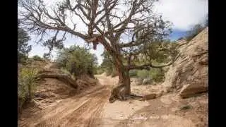 Moab 2014...created by Carla Stanley
