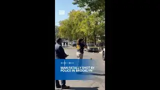 Brooklyn man shot and killed by NYPD