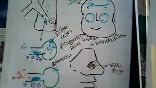 Cystic fibrosis treatment || respiratory system