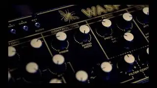 Behringer WASP Deluxe & Roland U-110 - Synthwave Jam - Inside the Pyramid