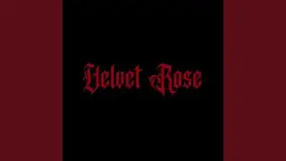 Velvet Rose