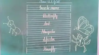 Insects name #insect