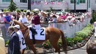 2016 La Troienne G1 view from the paddock