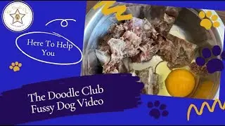 Fussy Dog Tips   The Doodle Club