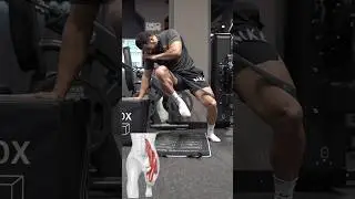 Why Training the Hips & Quads with a Mini Loop Really Matters 🔥