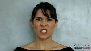 Emo&ccedil;&otilde;es B&aacute;sicas - Express&otilde;es Faciais da Emo&ccedil;&atilde;o