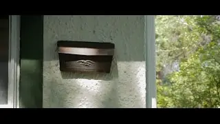 Snail Mail