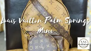 LOUIS VUITTON PALM SPRINGS MINI || WIMB & REVIEW || DOUBLEXLUXXE