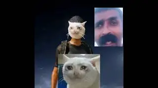 PUBG SAD CAT MASK😭😂 #pubgmobile #viral #catmask #shortsfeed