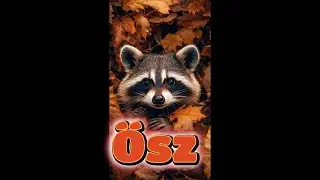 Ősz