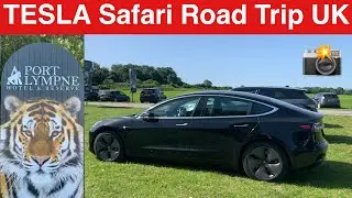 TESLA MODEL 3 Safari Road Trip Port Lympne Wild Animal Park UK Gorilla, Giraffe, Monkey reserve