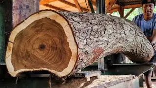 a man  turn curved logs into beautiful boards 