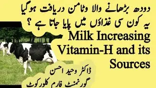 Milk Booster Vitamin H kon si cheezo ma paya jata ha - Dr Waheed Ahsan