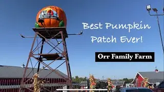 Our Favorite Pumpkin Patch // Historical version // Oklahoma