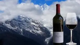 China's land of wine