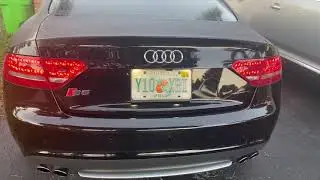 Audi S5 V8 Cold Start