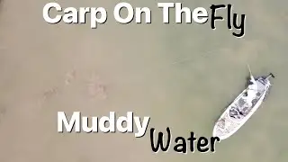 How to Fish Muddy Water - Carp Fly Fishing
