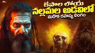 💀 నల్లమల అడవిలో రహస్య శివ లింగం💥 | Kapalaloya Srisailam 🕉️🔱 @MrMarthandaBharath