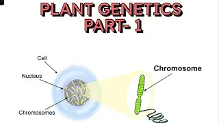 Genetics| NCERT| NEET 2026| #Letsstudybiology #Genetics #komalgarg
