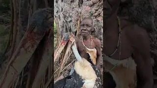 The oldest hunter of the tribe #shortvideo