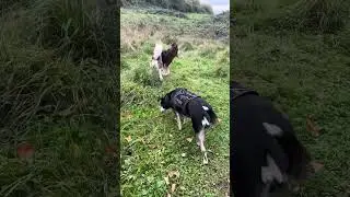Where have they gone !!!
