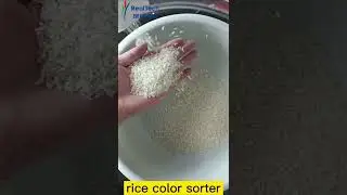 rice color sorting machine rice colour sorter supplier