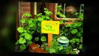 Santa Cruz Pest Control