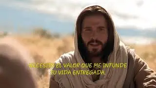 LEY SAGRADA. Salomé Arricibita