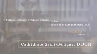 Sylvain Pluyaut / Eclats de Pluyaut