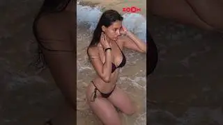 Disha Patani's HOT & sizzling bikini looks 🥵😍 #shorts #dishapatani