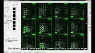 Glycan Microarray Analysis using GenePix Pro