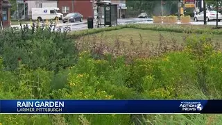 Rain garden opens in Pittsburgh's Larimer neighborhood
