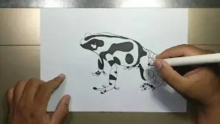 How to draw POISON DART FROG step by step