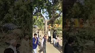 વક્તા શ્રી વિષ્ણુગીરીબાપુ મહાકાળી આશ્રમ પાલડી ભજન સંતવાણી 🙏🪕