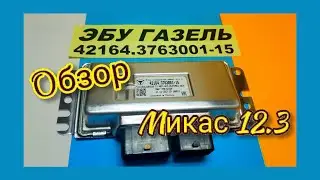 Обзор кановского ЭБУ Микас 12.3 42164.3763001-15 Соболь 4х4 с мотором 42164, щитком Газель Некст.