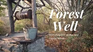 Forest Well - With Ambient Water and Gentle Wind.