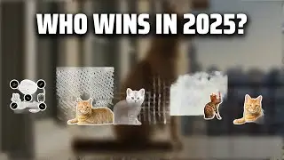 The Top 5 Best Balcony Cat Nets in 2025 - Must Watch Before Buying!