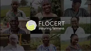 FLOCERT: Your Strategic Partner for Ethical Business Transformation