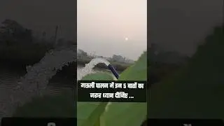 2026 मछली पालन में 5 महत्वपूर्ण बातें  || Top 5 Tips For Fish Farming Business 🐟 || Shorts Video 🔥