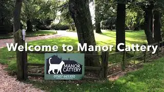 Manor Cattery Tour